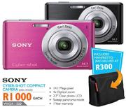Sony Cyber-Shot Compact Camera-DSC-W530