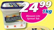 Blossom Lite Spread Tub-1kg