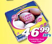 Cambridge Food Large Eggs-30's