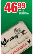 Top Lay Large Eggs-18's Per Tray