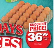 Large Eggs Tray-30 Per Tray