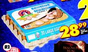 Top Lay Large Eggs-30's
