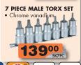7 Piece Male Torx Set