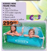 Kiddies Mini Frame Pool