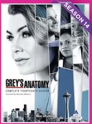 Grey's Anatomy Season 14-For 1