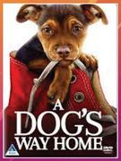 A Dogs Way Home DVD-Each