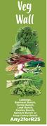 Cabbage,Beetroot Bunch,Turnip Bunch,Leek Bunch,Parsley Bunch,Spinach Bunch-For 2