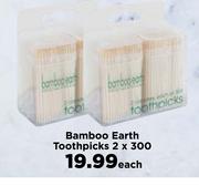 Bamboo Earth Toothpicks-2 x 300 Each