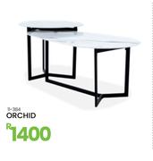Orchid 11-384