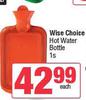 Wise Choice Hot Water Bottle-Each