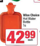 Wise Choice Hot Water Bottle-Each