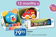 Playgro Toys 12 months +