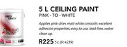 Fired Earth 5Ltr Ceiling Paint Pink To White