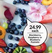 Blackberry, Raspberry Or Blueberry Punnets-Each