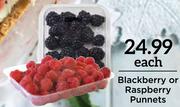 Blackberry Or Raspberry Punnets-Each