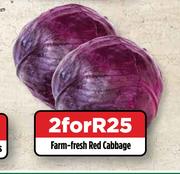 Farm Fresh Red Cabbage-For 2