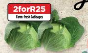 Farm Fresh Cabbages-For 2