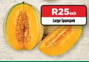 Large Spanspek-Each