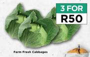 Farm Fresh Cabbages-For 3