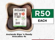Avolands Ripe n Ready Avocados-4s Each