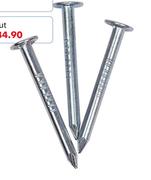 Semi Clout Nails 32mm-1Kg