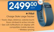 Fitbit Charge Slate Large Tracker-Each