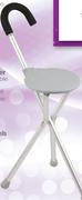 Walking Stick With Seat 145169