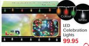 LED Celebration Lights
