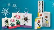 Scented Sachet Assorted-Each