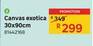 Canvas Exotica 30 x 90cm