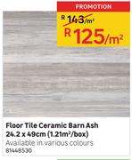 Floor Tile Ceramic Barn Ash 24.2 x 49cm (1.21 Sqm/Box)-Per Sqm