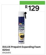 Duluxe Prepaint Expanding Foam-825ml