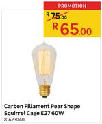 Carbon Fillament Pear Shape Squirrel Cage E27 60W