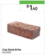 Clay Stock Bricks