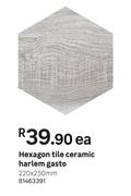 Hexagon Tile Ceramic Harlem Gasto-220 x 250mm Each