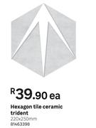 Hexagon Tile Ceramic Trident-220 x 250mm Each