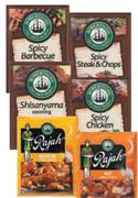  Robertsons Envelope Spices Or Rajah Curry Powder(All Variants)-7g