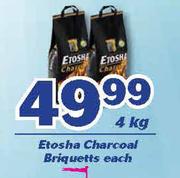 Etosha Charcoal Briquetts-4kg Each
