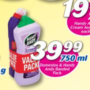 Domestos & Handy Andy Banded Pack