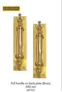 Euro Brass Pull Handle On Back Plate Brass 300mm