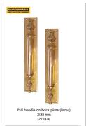 Euro Brass Pull Handle On Back Plate Brass 300mm