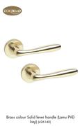 Dortello Brass Colour Solid Lever Handle Lamu PVD Key