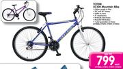 Totem XC100 Mountain Bike