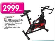 Special Trojan Spin 300 Exercise Cycle 300 m.guzzle .za