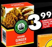 Robertsons Ground Ginger Spice Refill-25g Box