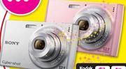 SONY CyberShot Camera(DSC-W510)   