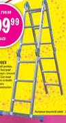 Gravity Wonder Ladder-Each