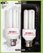 Day/Night Energy CFL 2 Pack-15W