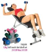 Trojan Dumbbell/Situpbench(AB-1200)