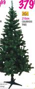 Colorado Tree-210cm